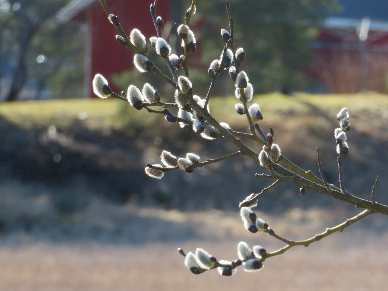 Valokuvaaja: Risto Kangassalo