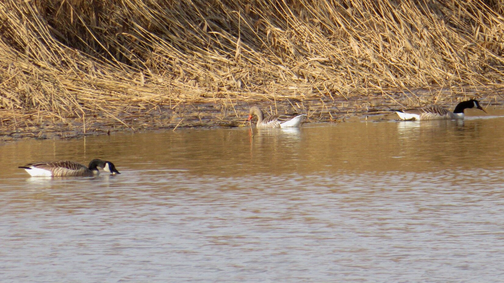 Valokuvaaja: Risto Kangassalo