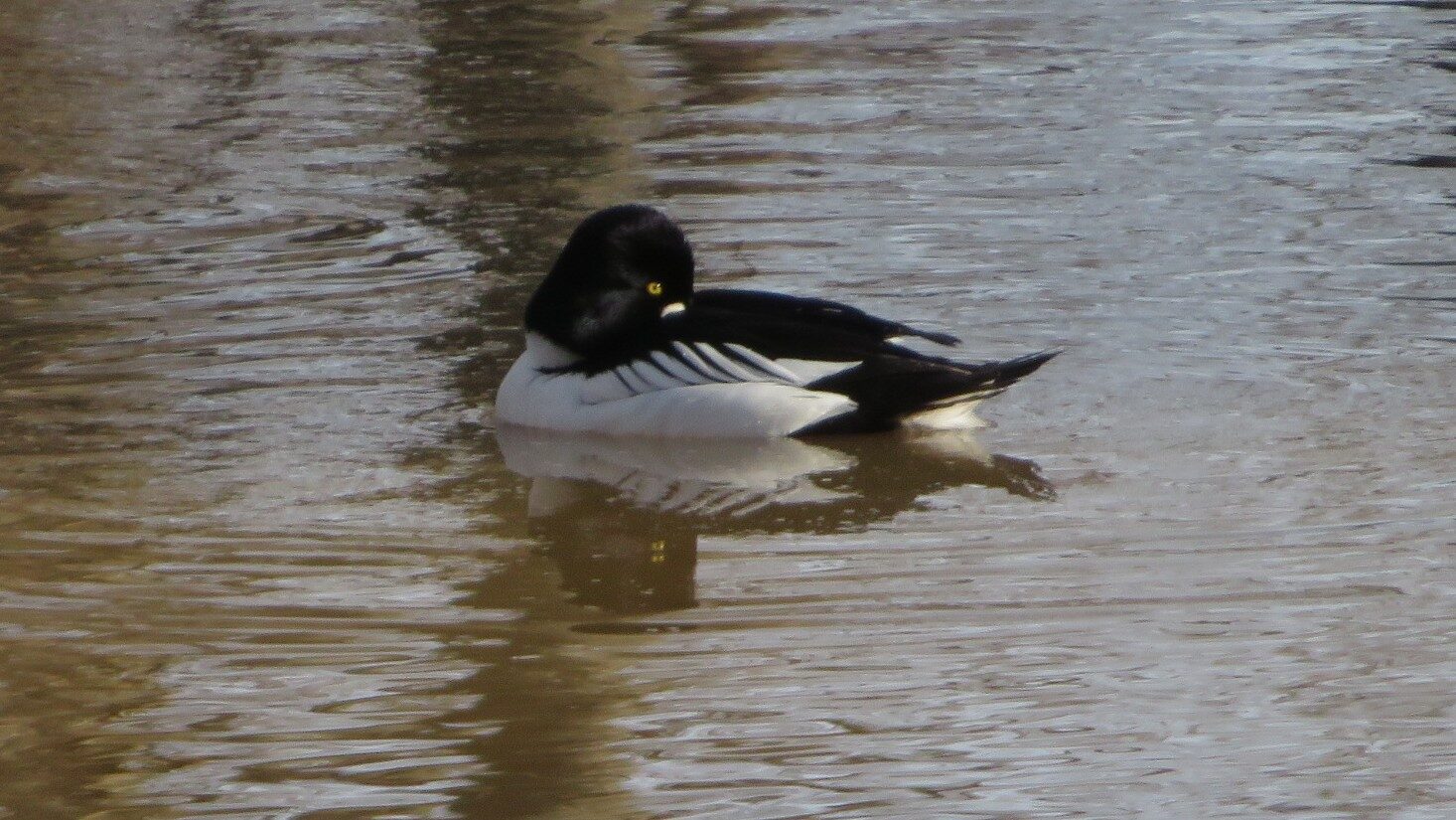 Valokuvaaja: Risto Kangassalo