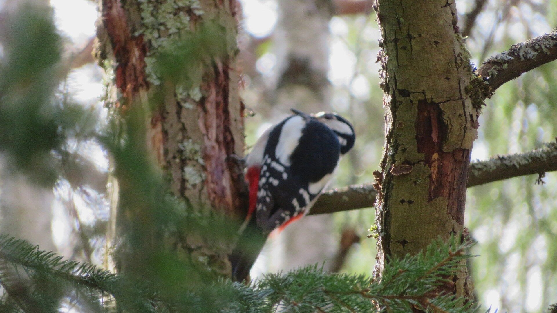 Valokuvaaja: Risto Kangassalo