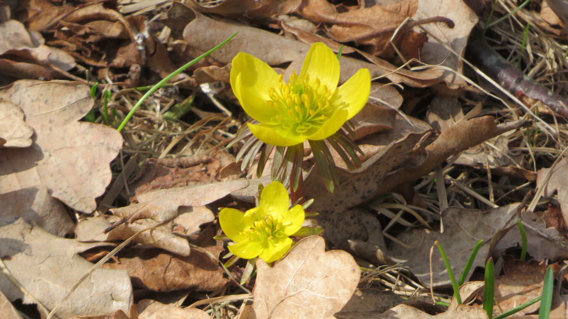 Valokuvaaja: Risto Kangassalo Valokuvaaja: Risto Kangassalo