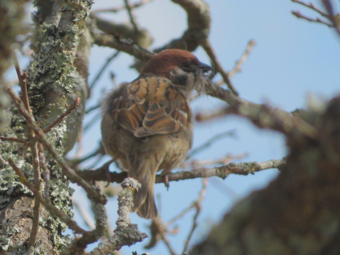Valokuvaaja: Risto Kangassalo