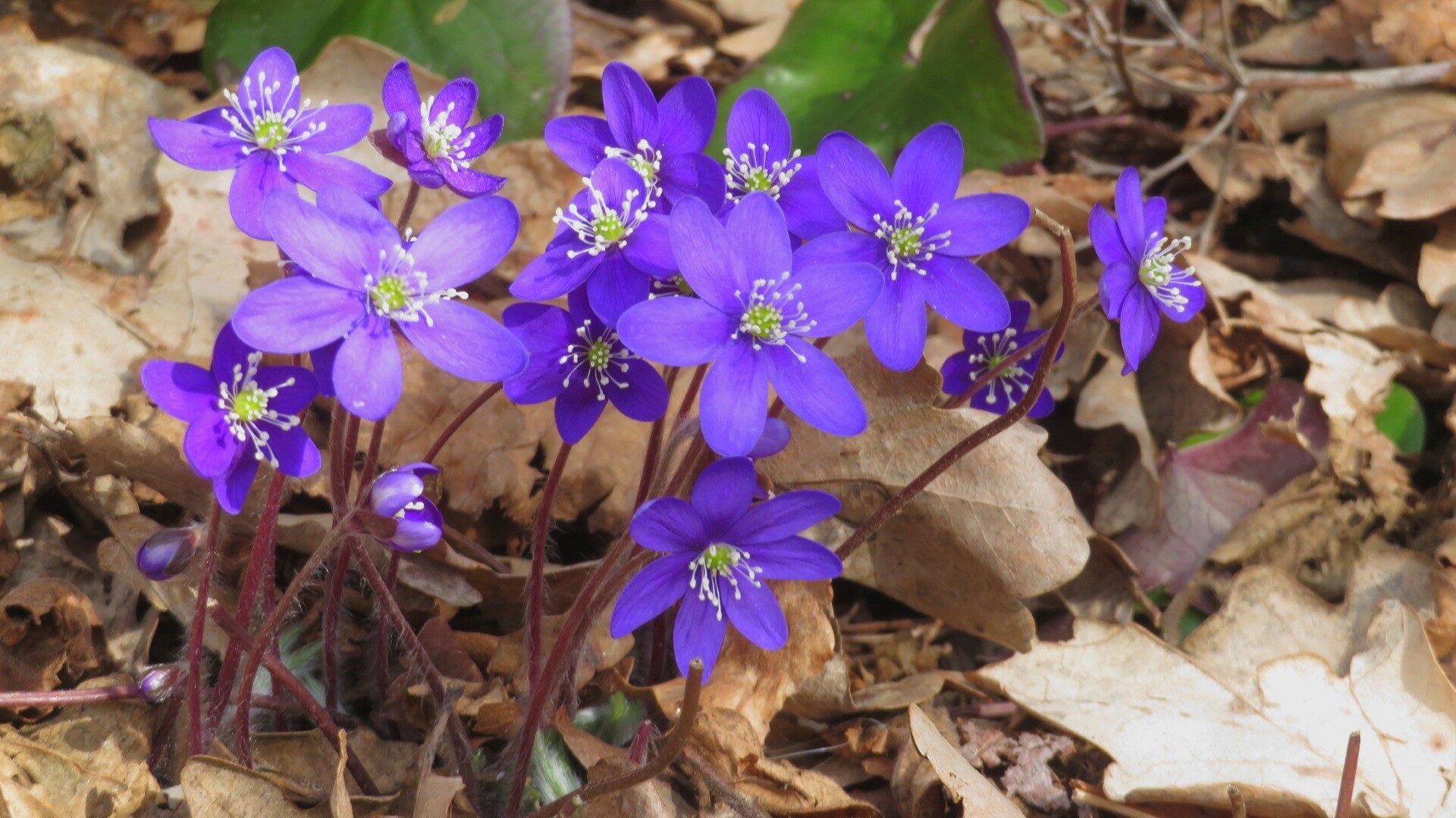 Valokuvaaja: Risto Kangassalo