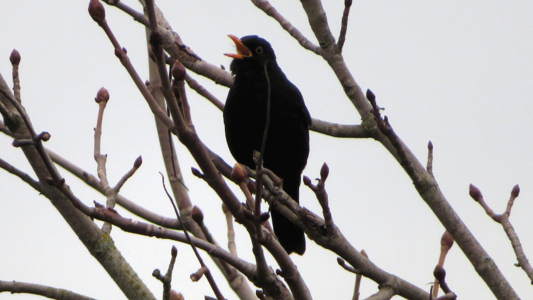 Valokuvaaja: Risto Kangassalo