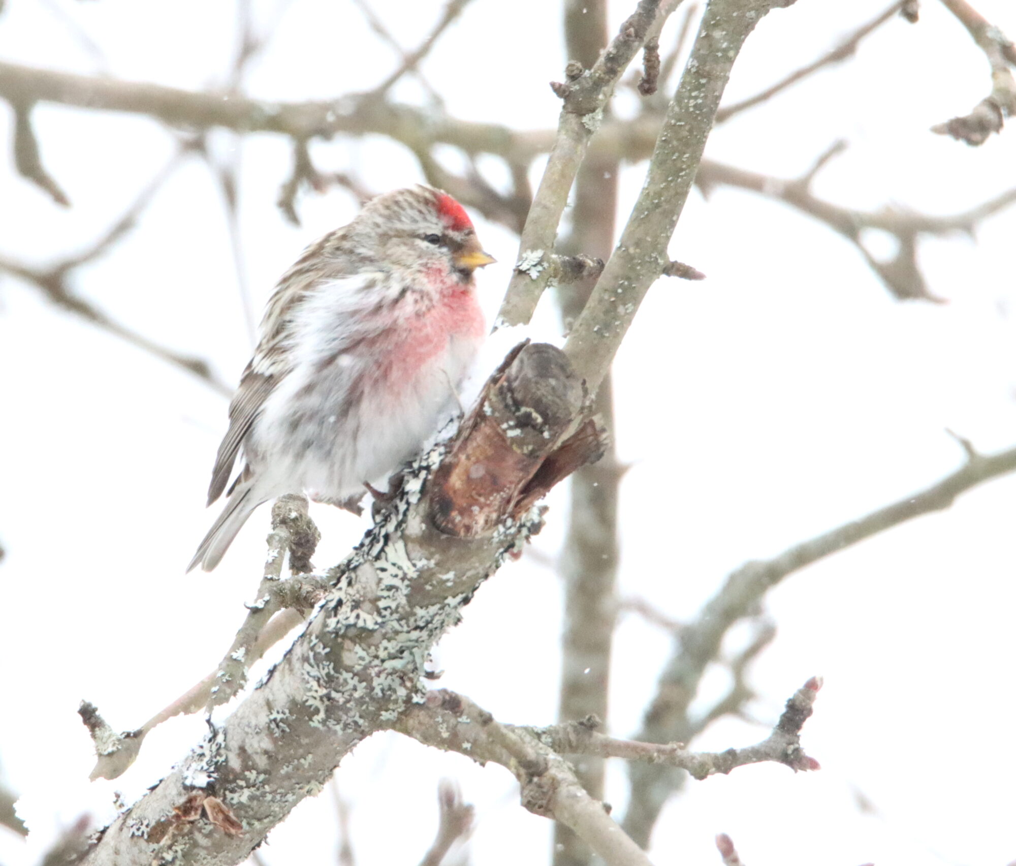 Valokuvaaja: Irja Lehtinen