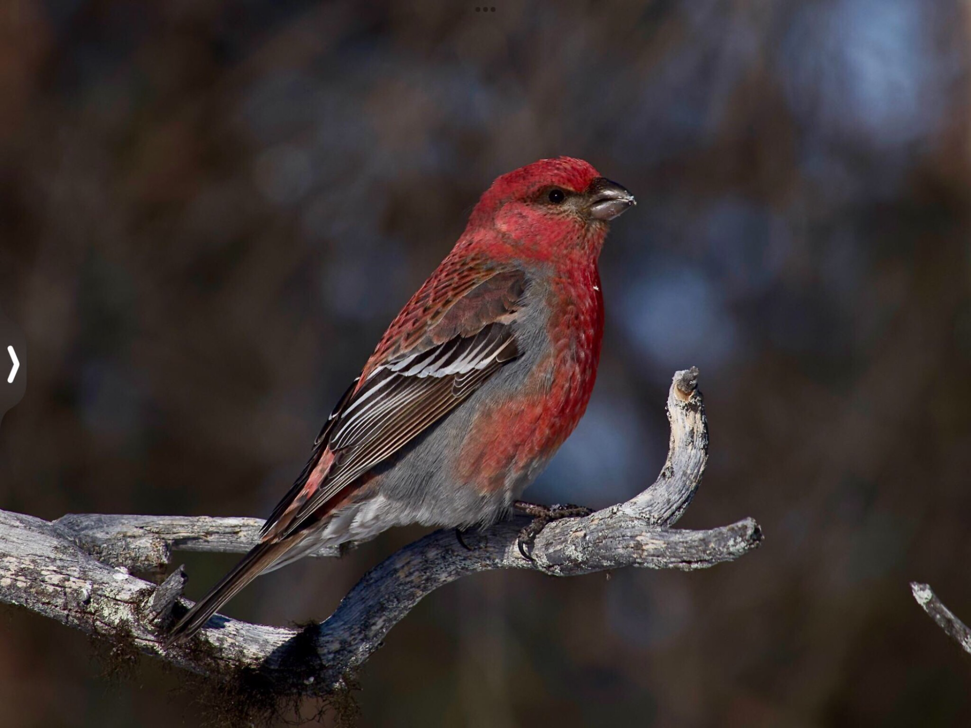 Valokuvaaja: Juha Naukkarinen