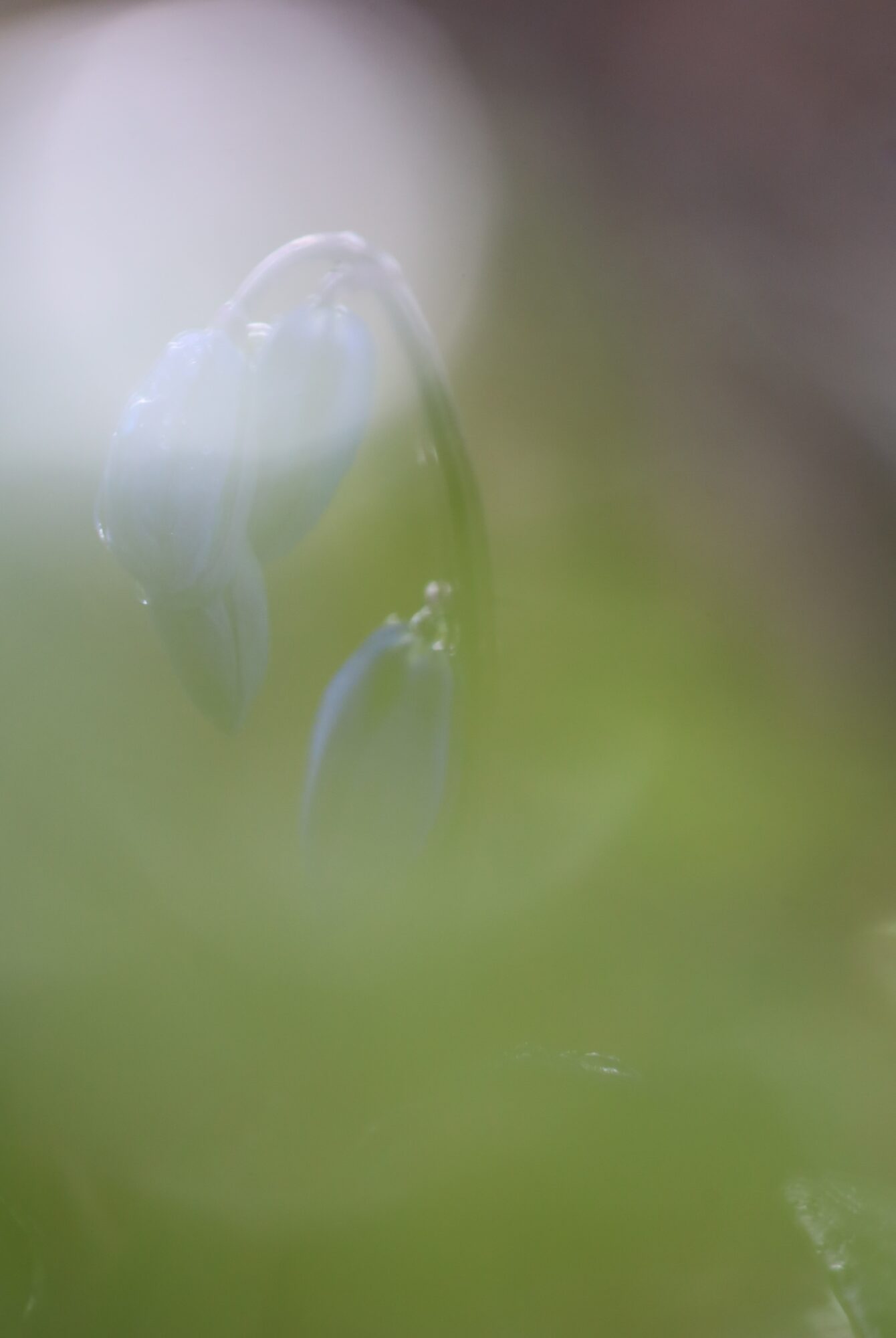 Valokuvaaja: Armi Järvinen