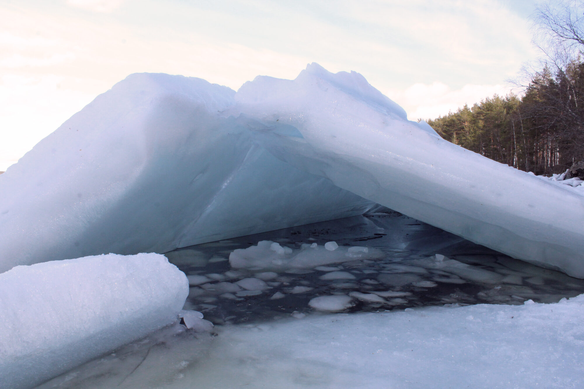 Valokuvaaja: Paula Savelius-Kontinen