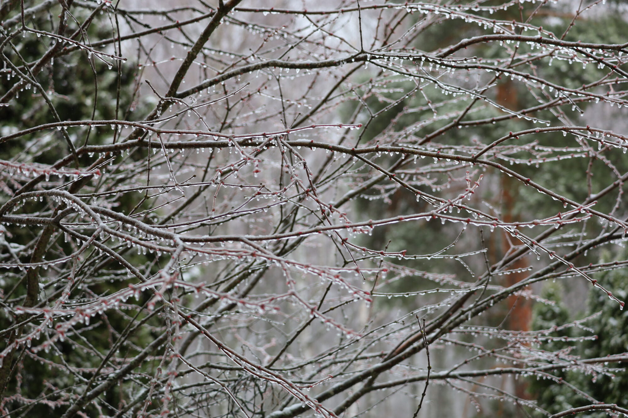 Valokuvaaja: Armi Järvinen Valokuvaaja: Armi Järvinen