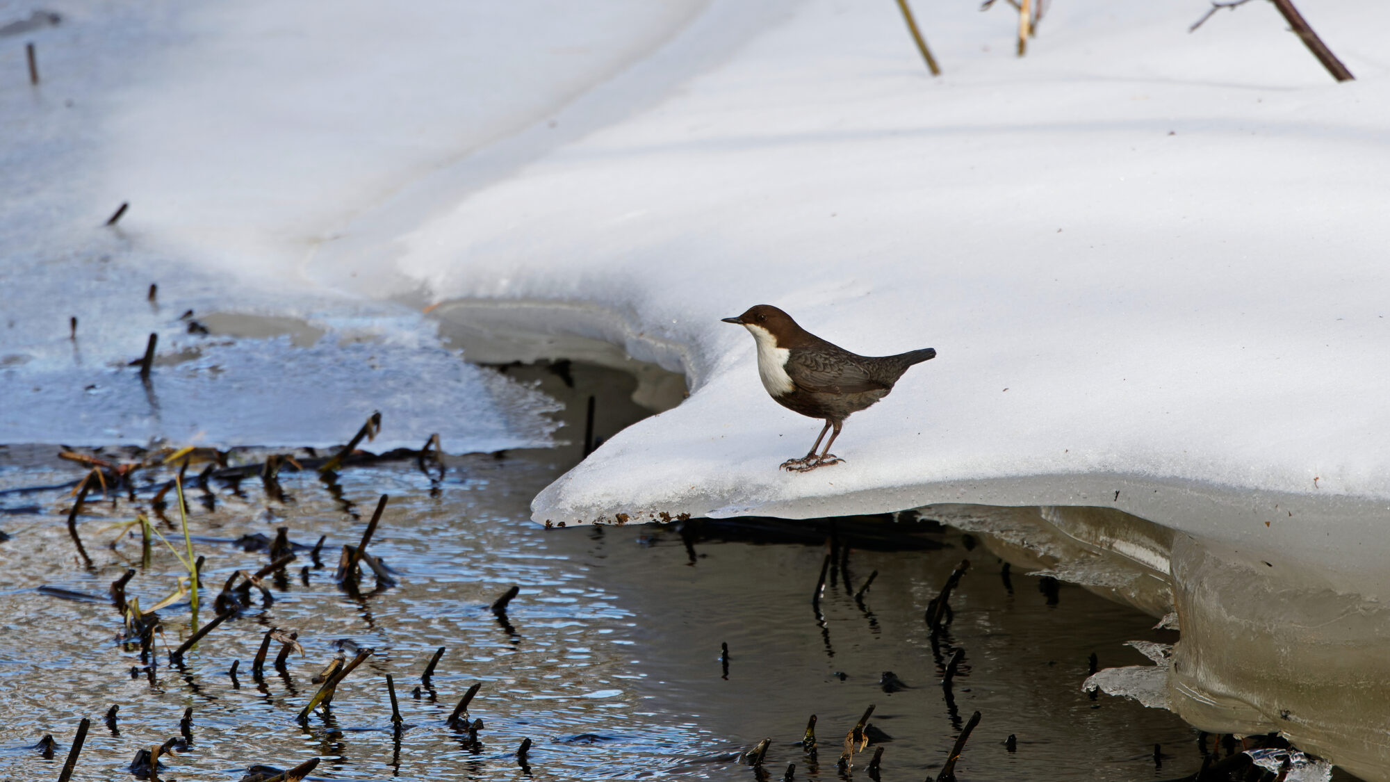 Valokuvaaja: TOMMI KUJALA