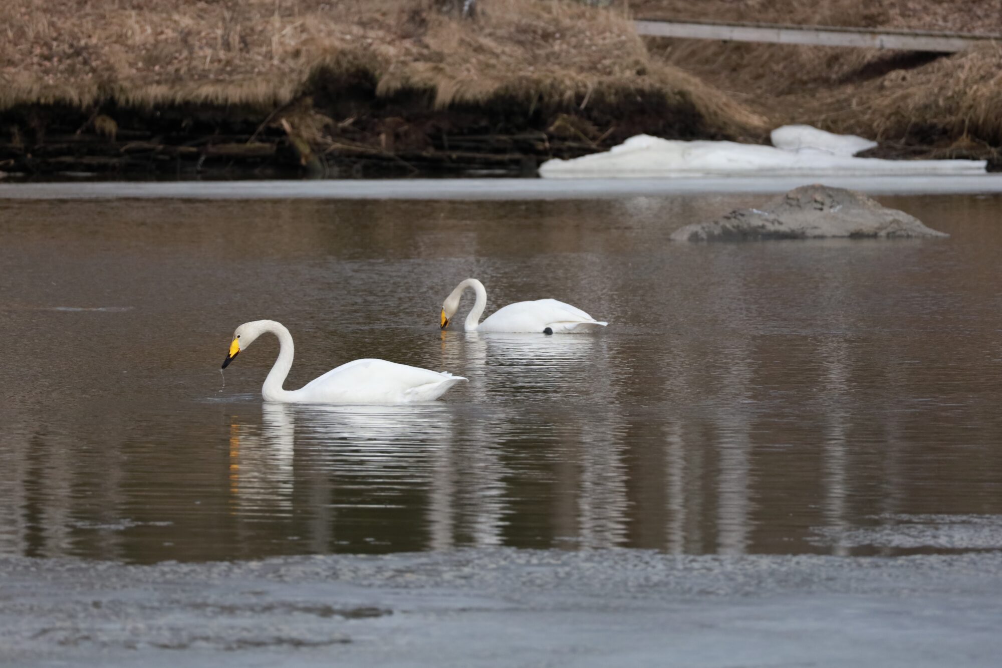 Valokuvaaja: Armi Järvinen