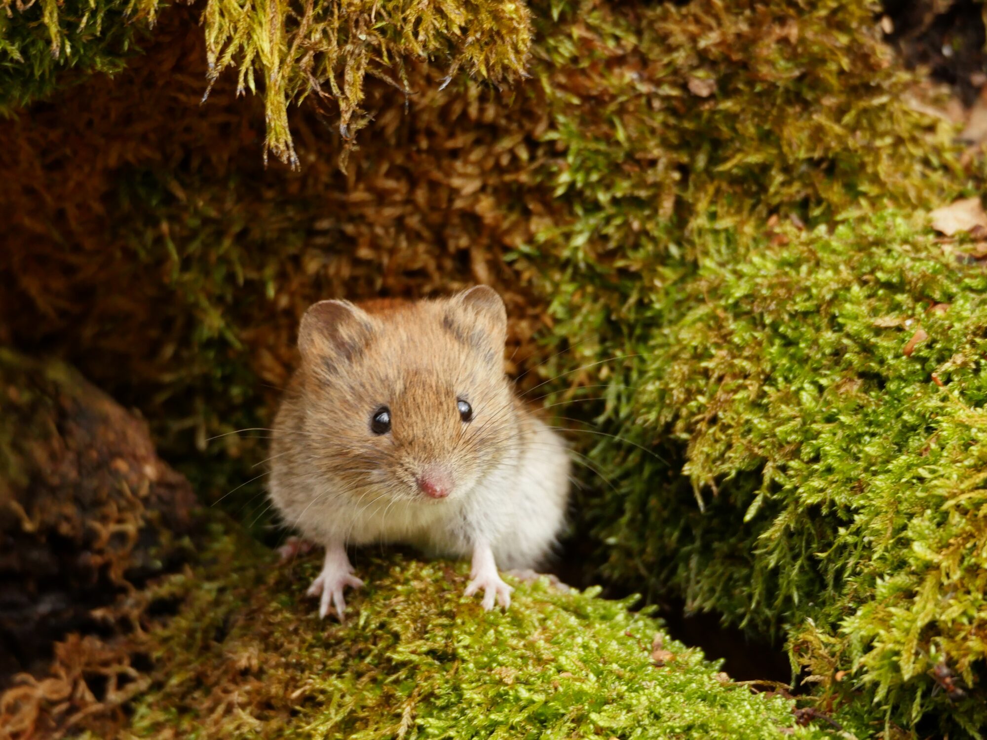 Valokuvaaja: Ville Mantere Valokuvaaja: Ville Mantere