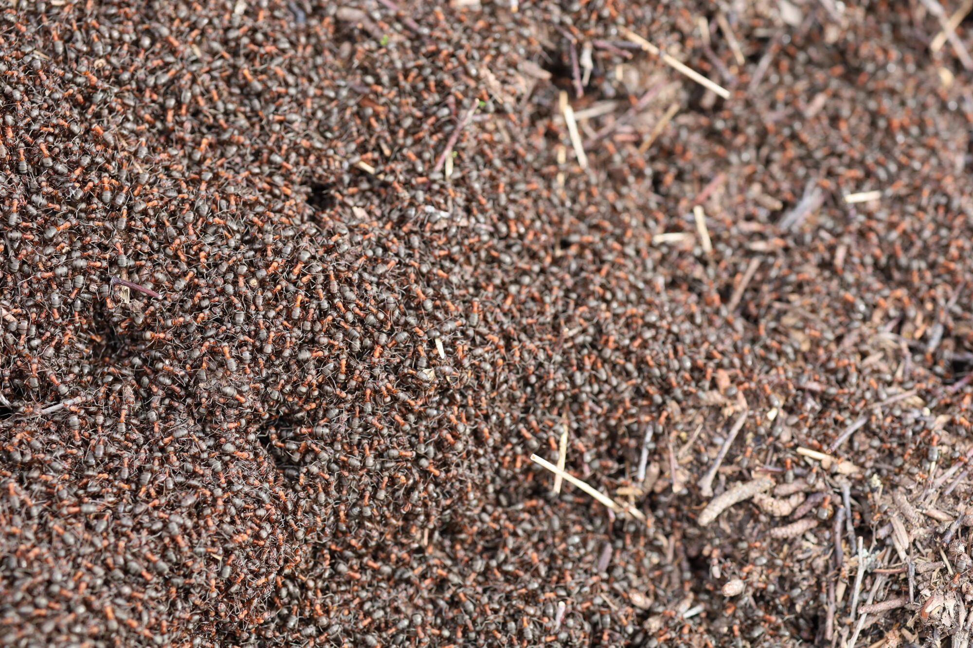 Valokuvaaja: Armi Järvinen