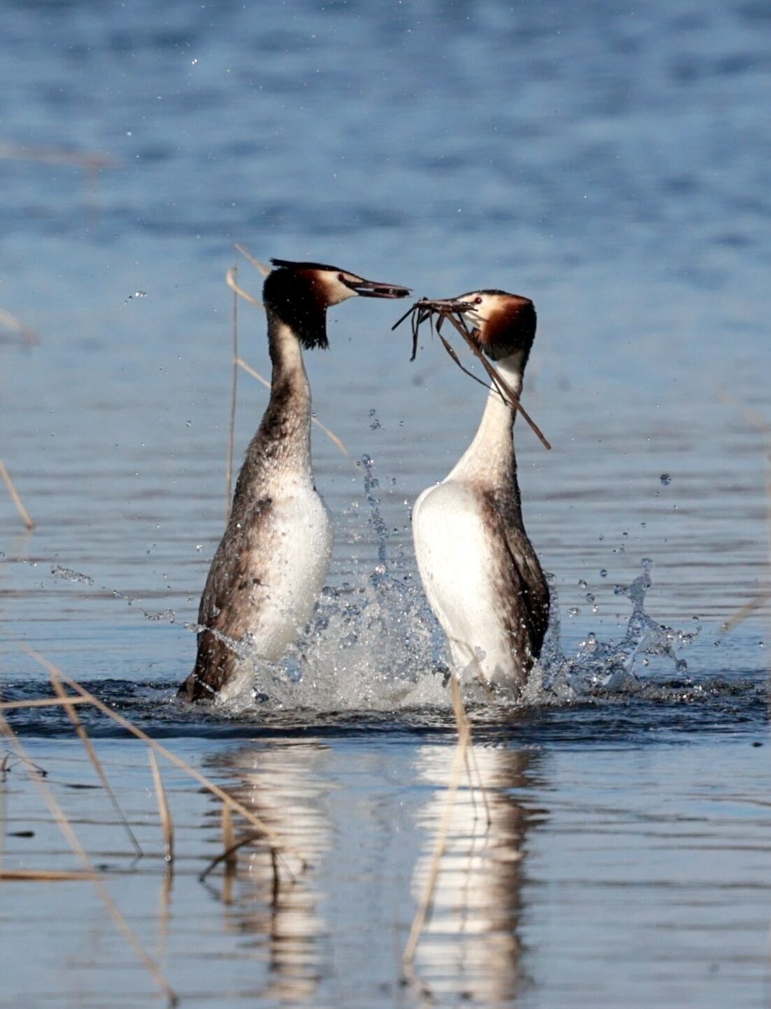Valokuvaaja: Teija Sorjonen Valokuvaaja: Teija Sorjonen