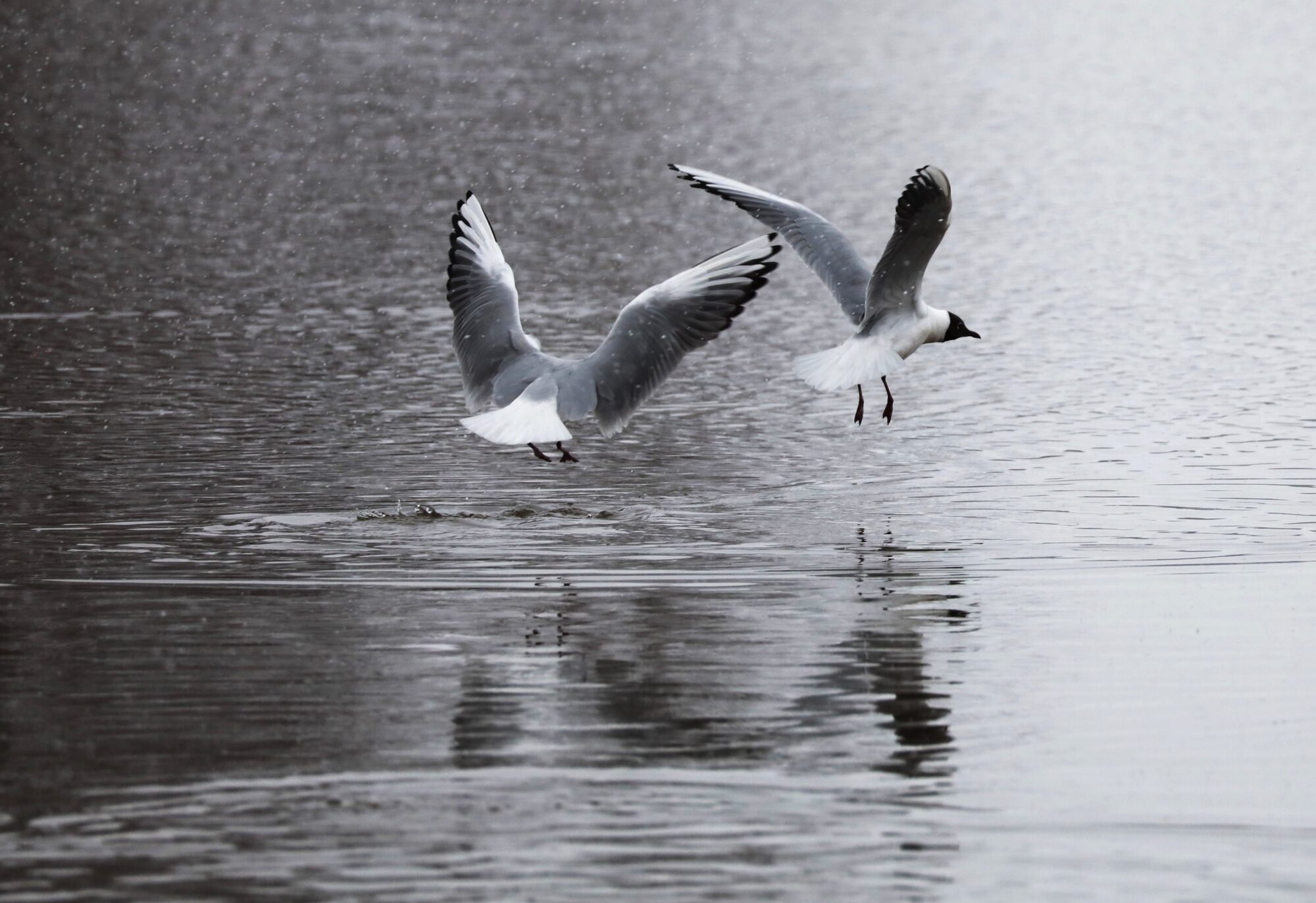 Valokuvaaja: Armi Järvinen