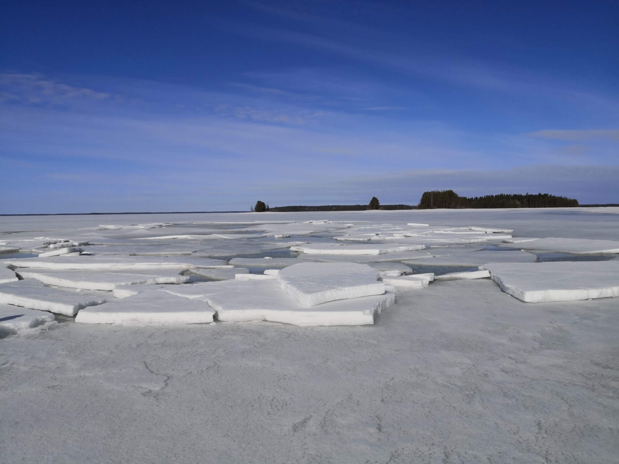 Valokuvaaja: Tiina Meriläinen