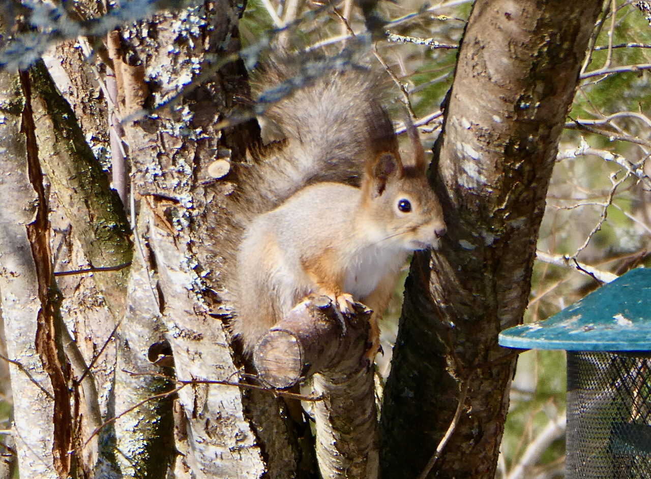 Valokuvaaja: Liisa Niiva-Korpela
