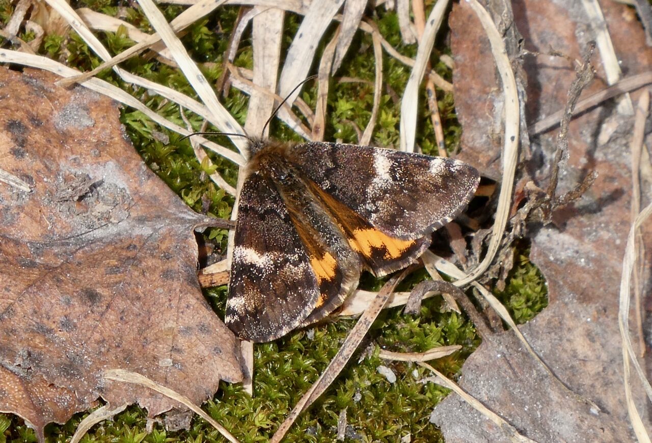 Valokuvaaja: Liisa Niiva-Korpela