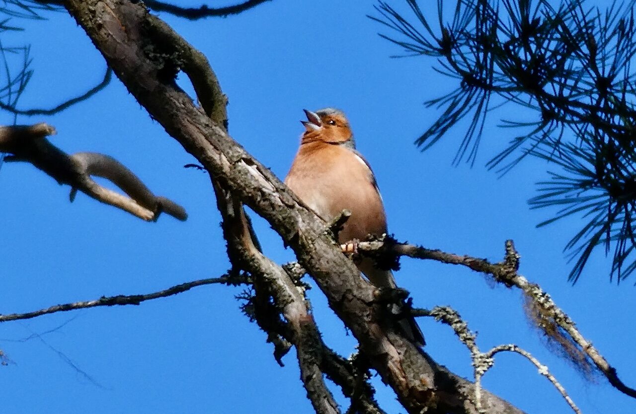 Valokuvaaja: Liisa Niiva-Korpela