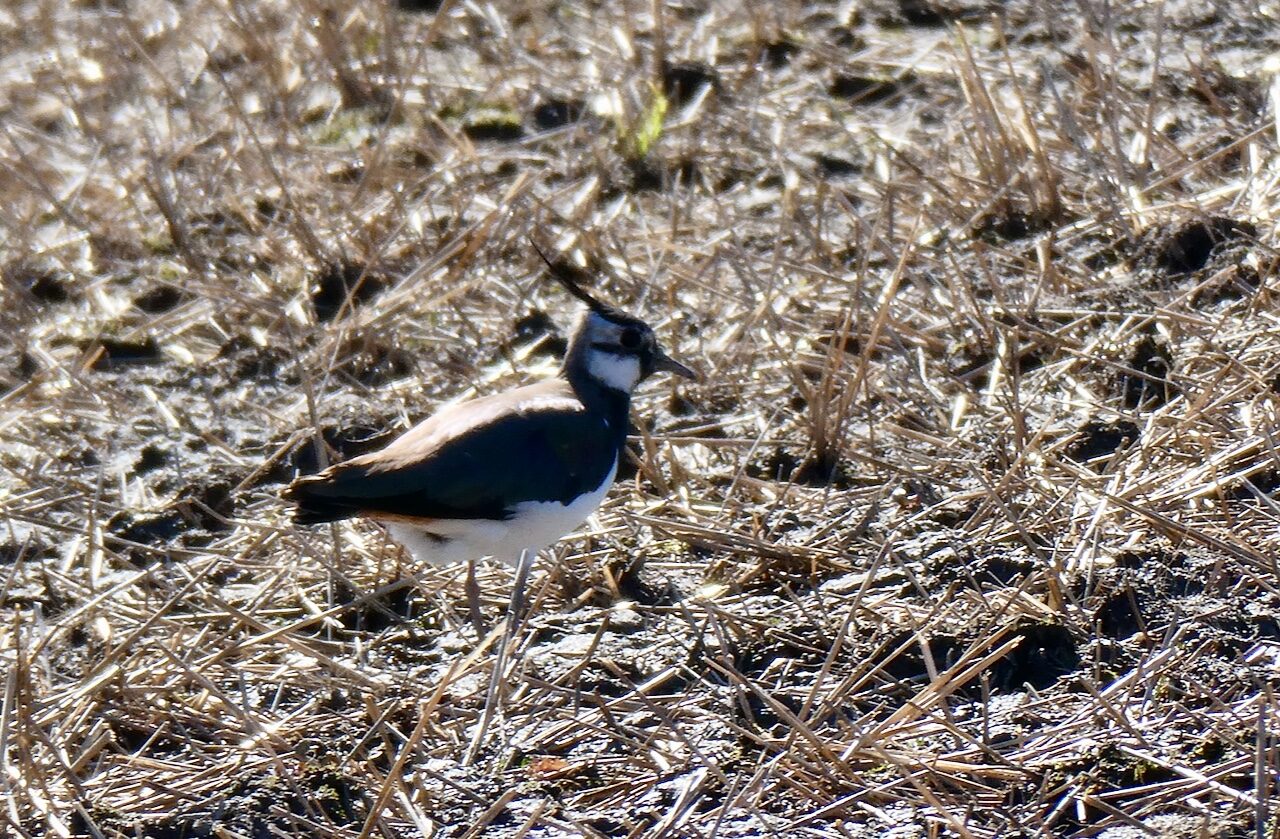 Valokuvaaja: Liisa Niiva-Korpela Valokuvaaja: Liisa Niiva-Korpela