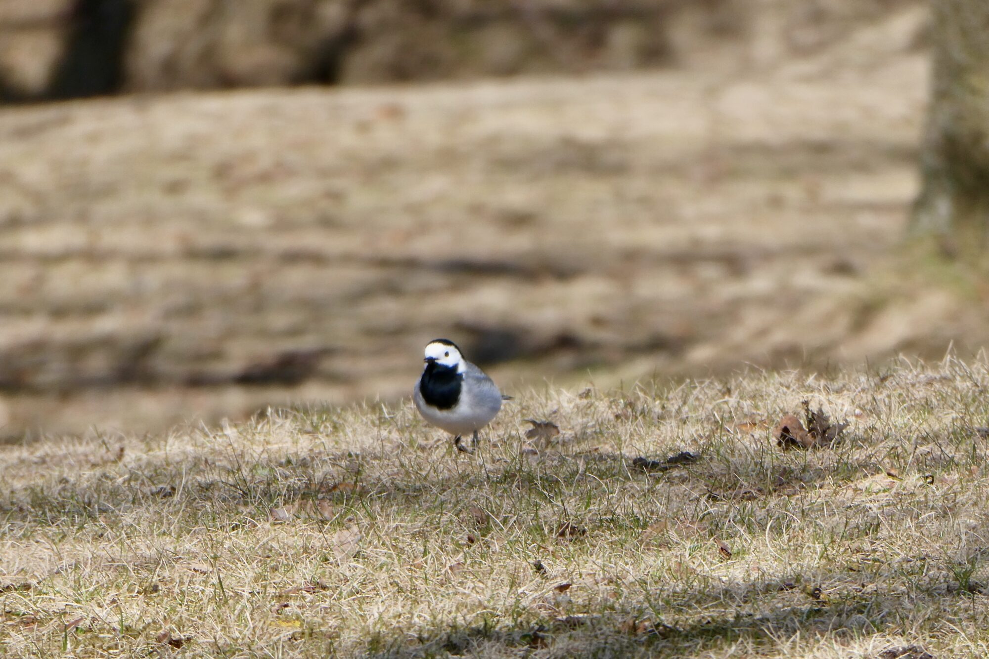 Valokuvaaja: Liisa Niiva-Korpela