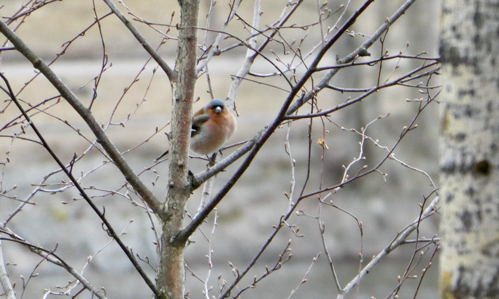 Valokuvaaja: Liisa Niiva-Korpela