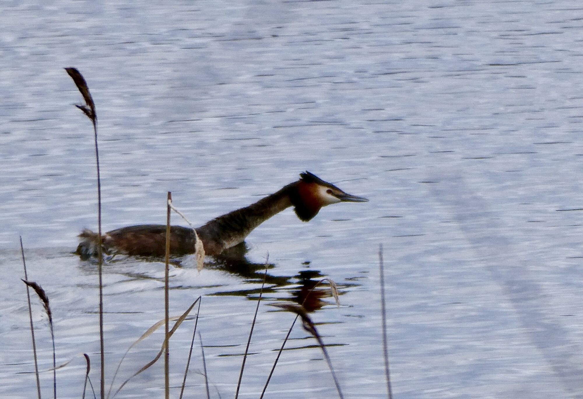Valokuvaaja: Liisa Niiva-Korpela Valokuvaaja: Liisa Niiva-Korpela