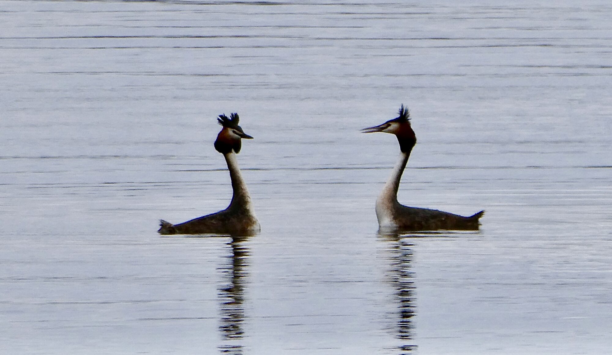 Valokuvaaja: Liisa Niiva-Korpela