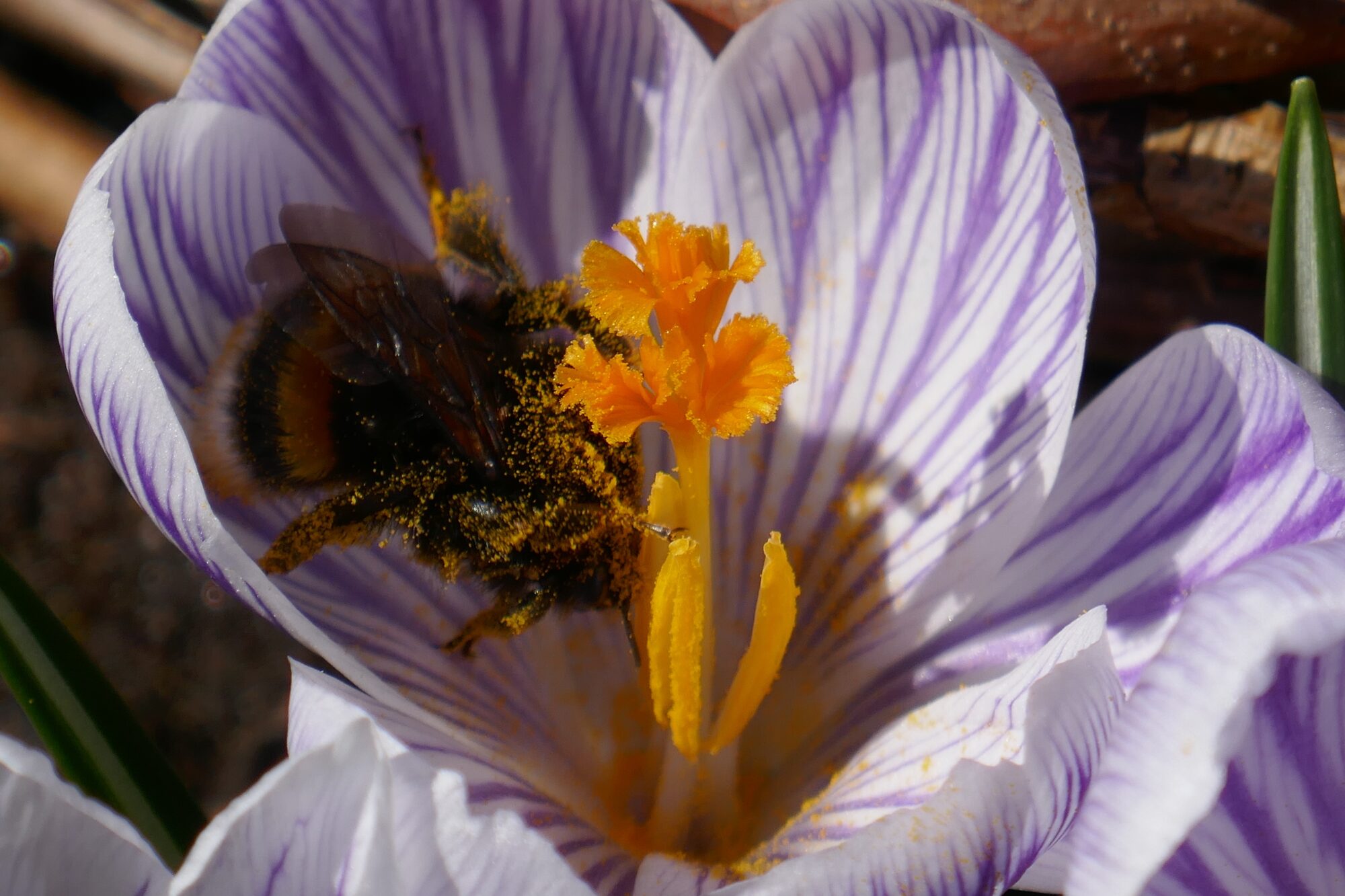 Valokuvaaja: Marjut Ikonen