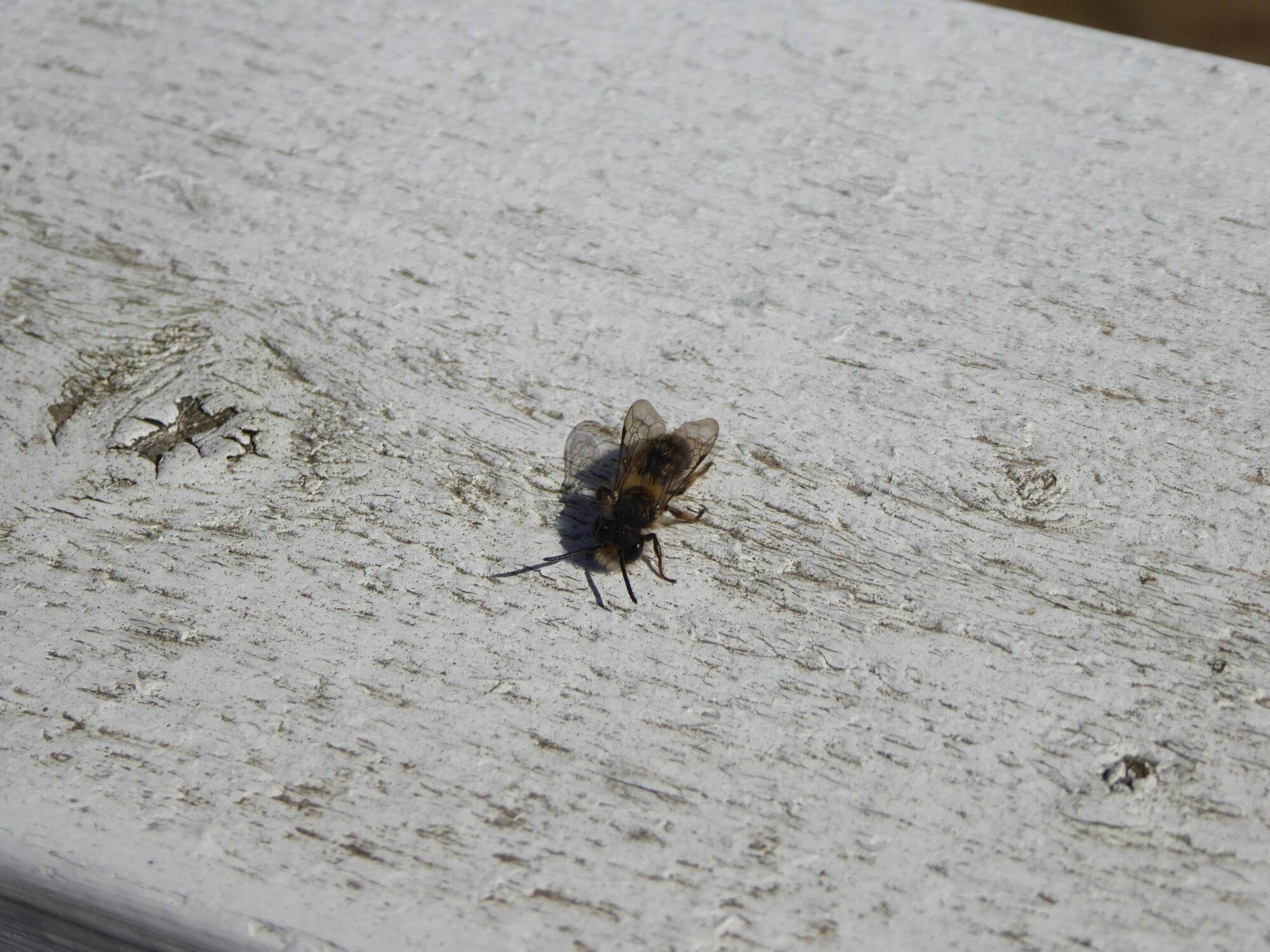 Valokuvaaja: Toni Asikainen