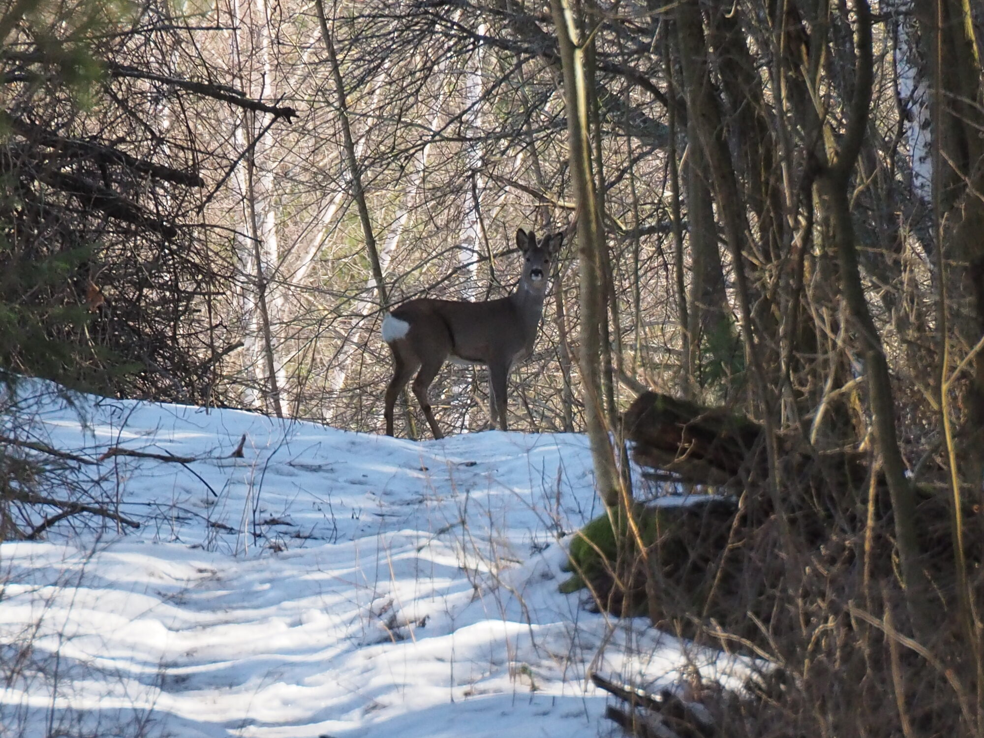 Valokuvaaja: Martti Valtonen