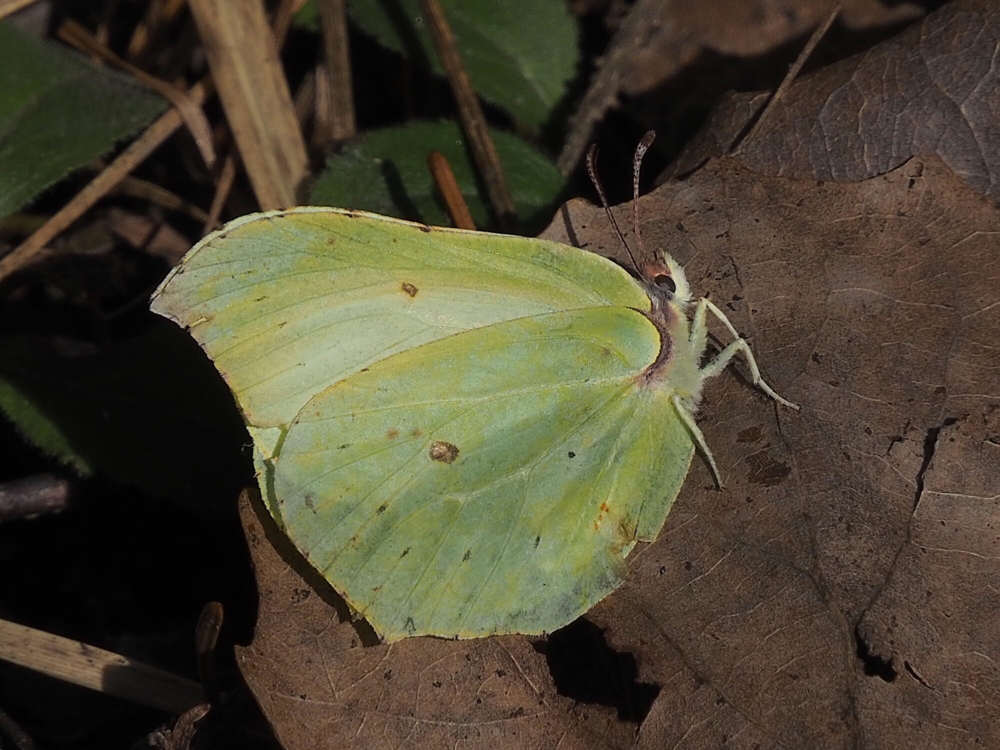 Valokuvaaja: Martti Valtonen Valokuvaaja: Martti Valtonen