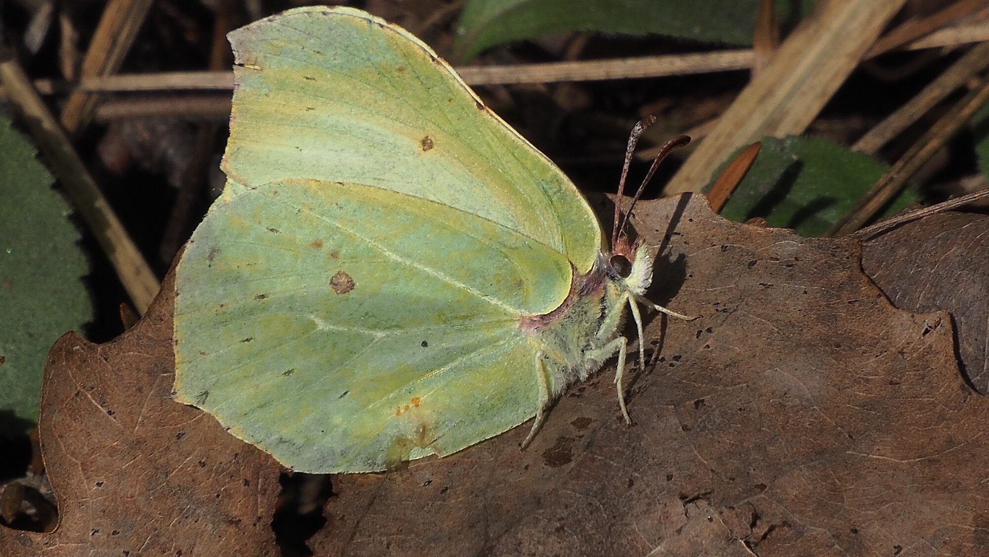 Valokuvaaja: Arja Valtonen
