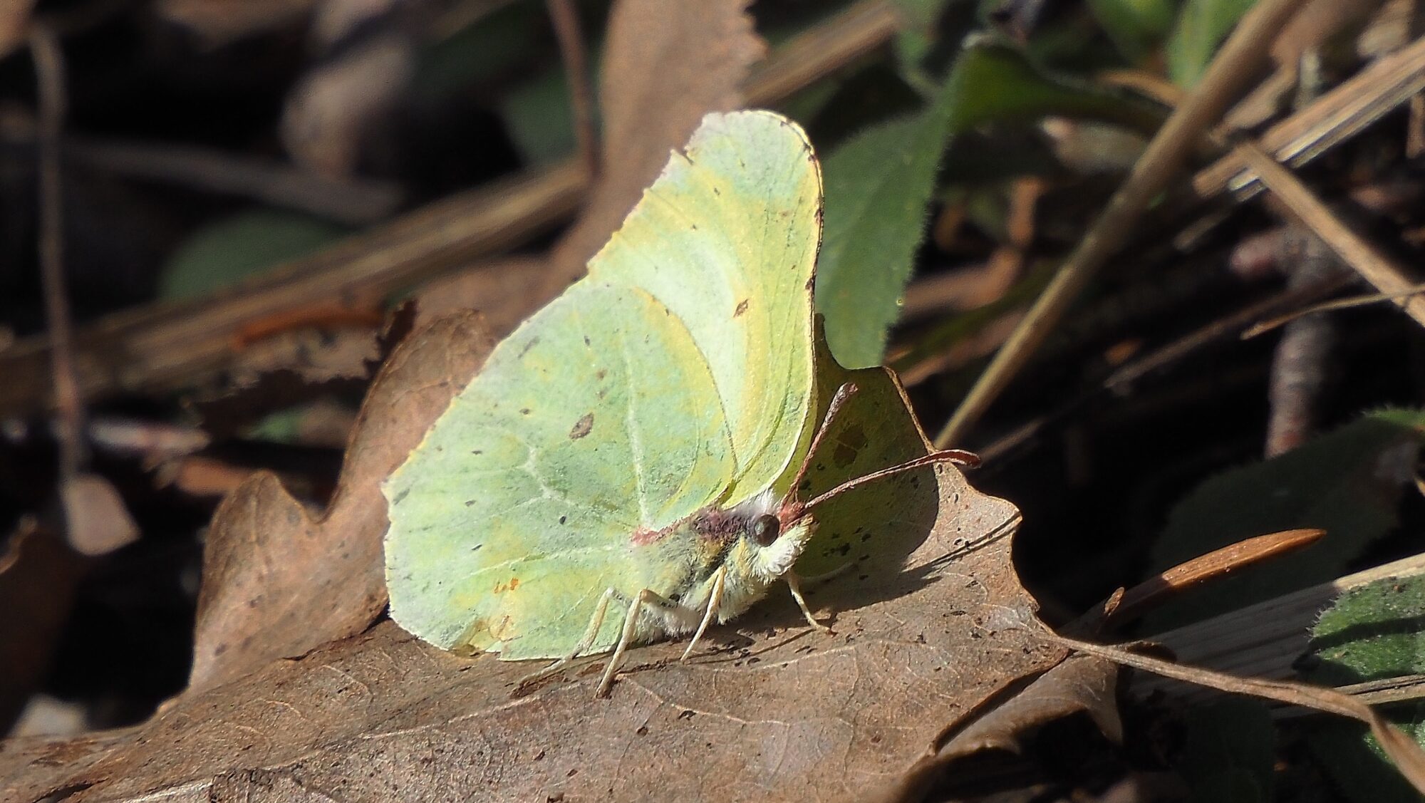 Valokuvaaja: Arja Valtonen