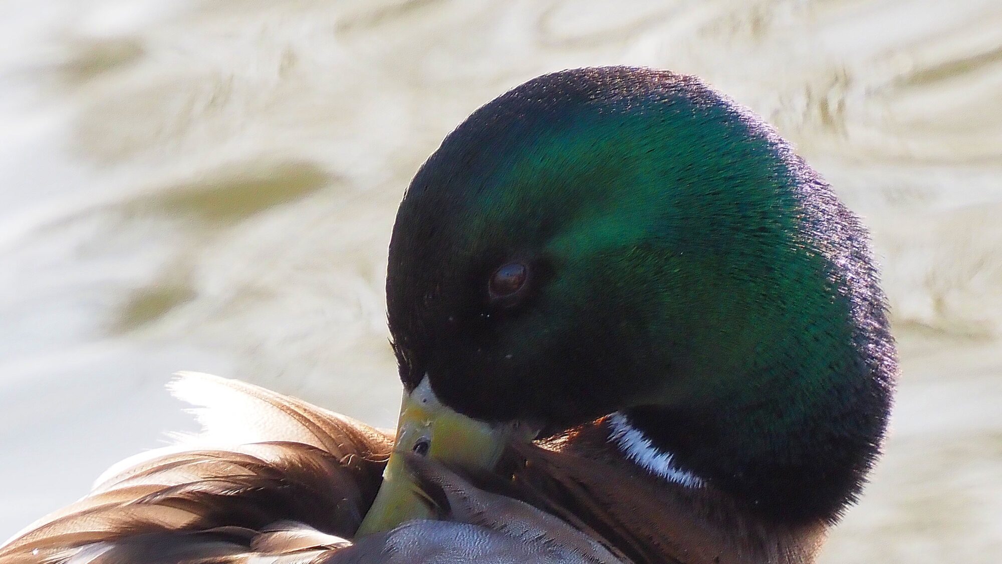 Valokuvaaja: Arja Valtonen