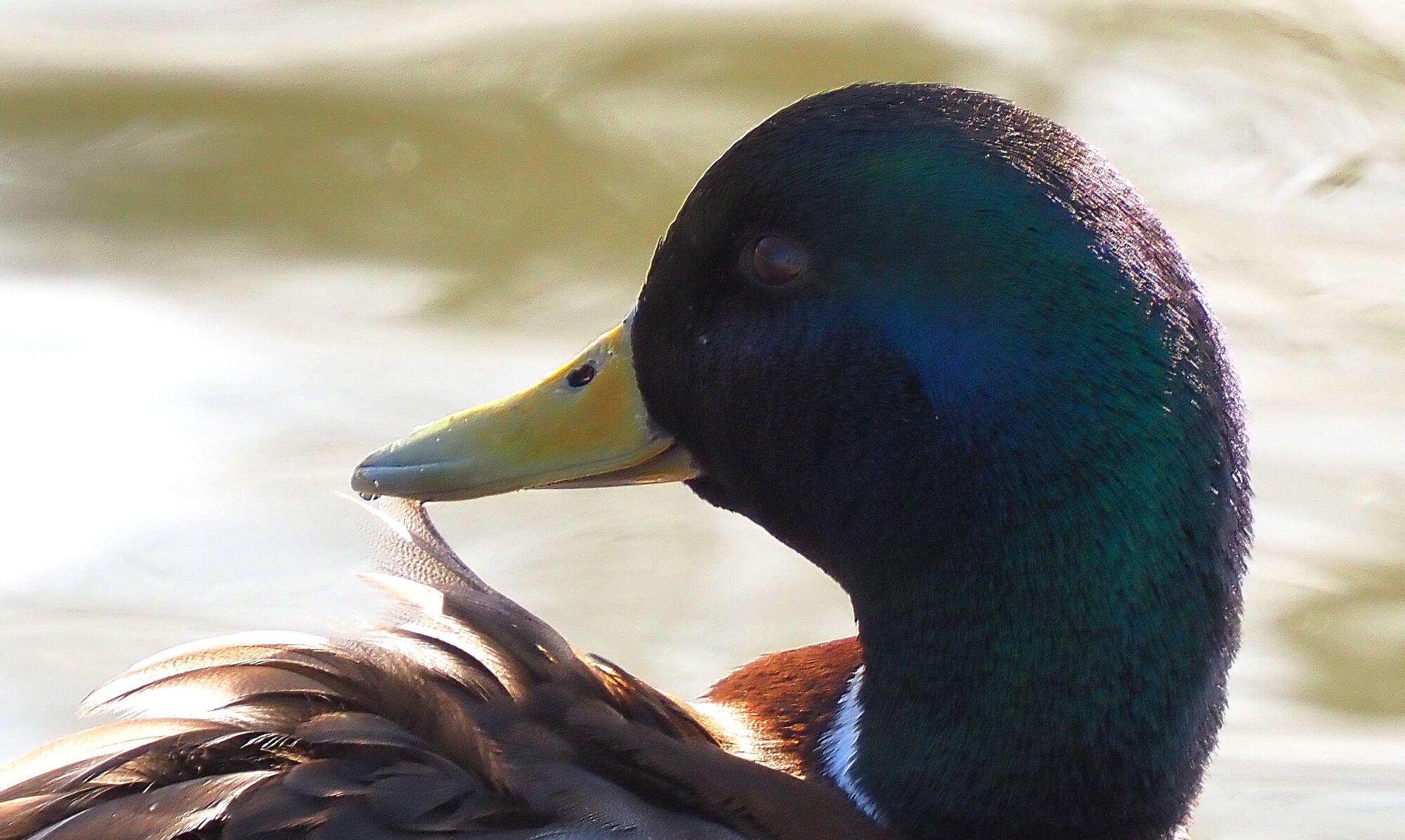 Valokuvaaja: Arja Valtonen