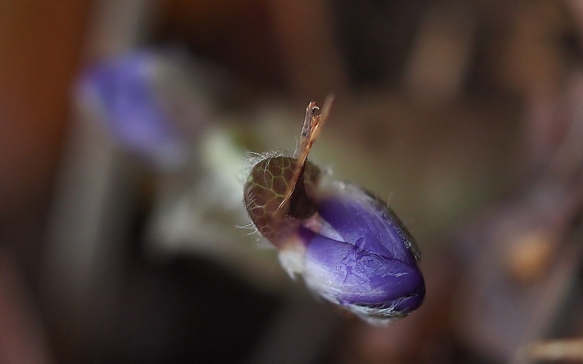 Valokuvaaja: Arja Valtonen