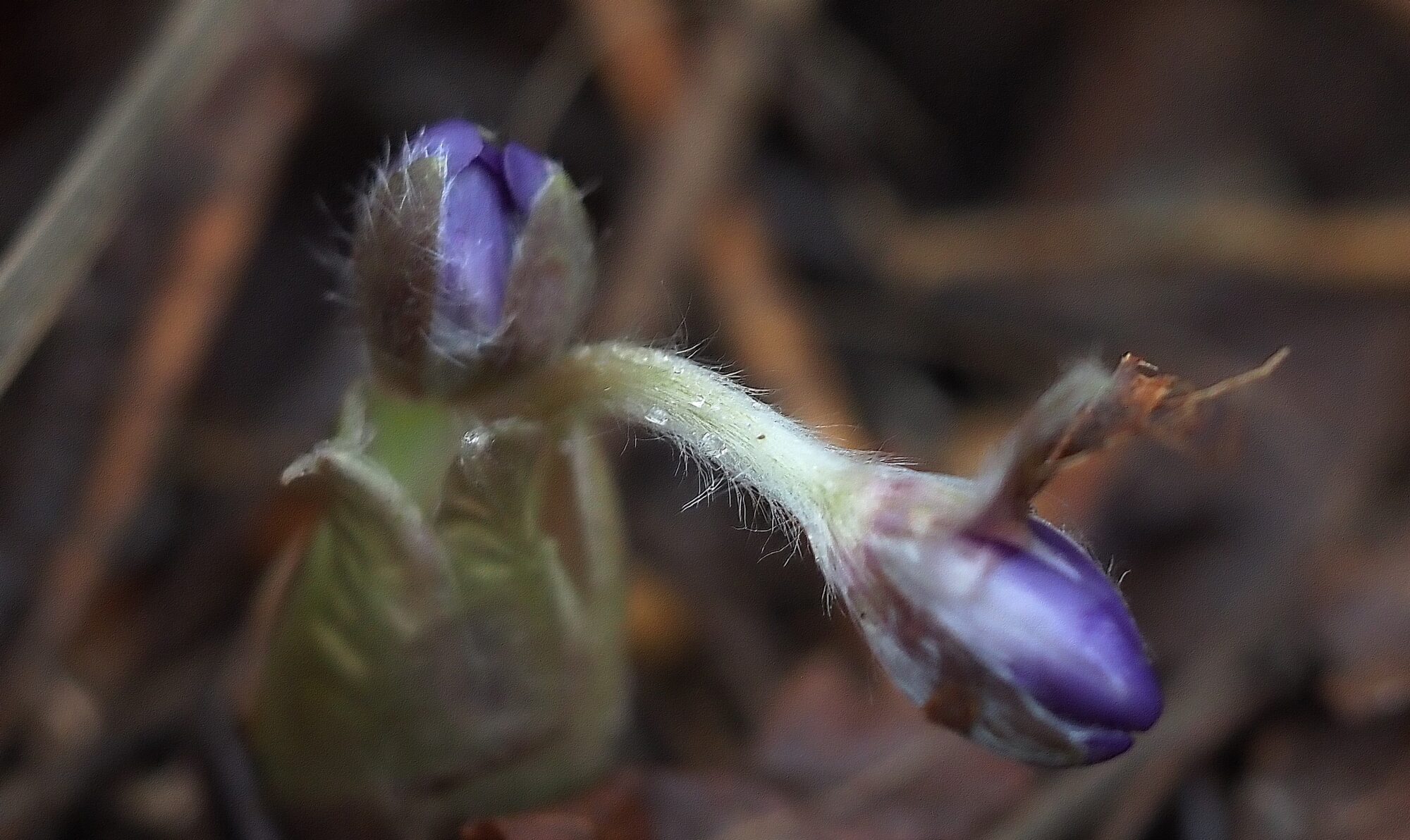 Valokuvaaja: Arja Valtonen