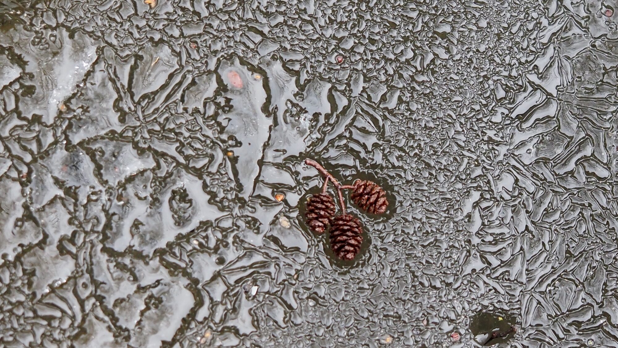 Valokuvaaja: Arja Valtonen