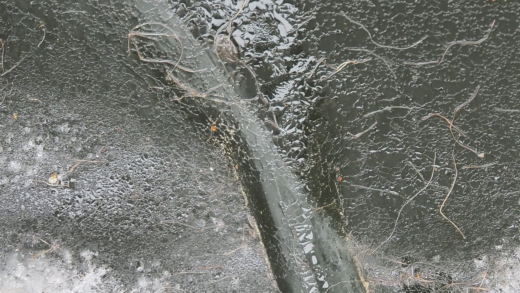 Valokuvaaja: Arja Valtonen