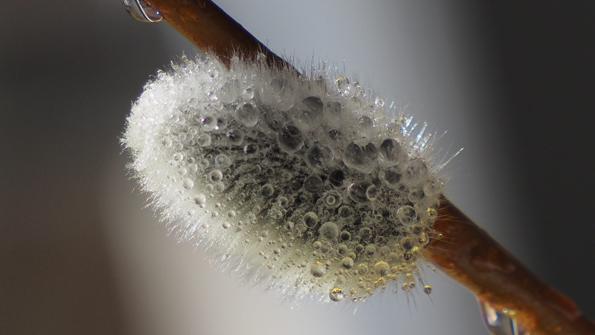 Valokuvaaja: Arja Valtonen