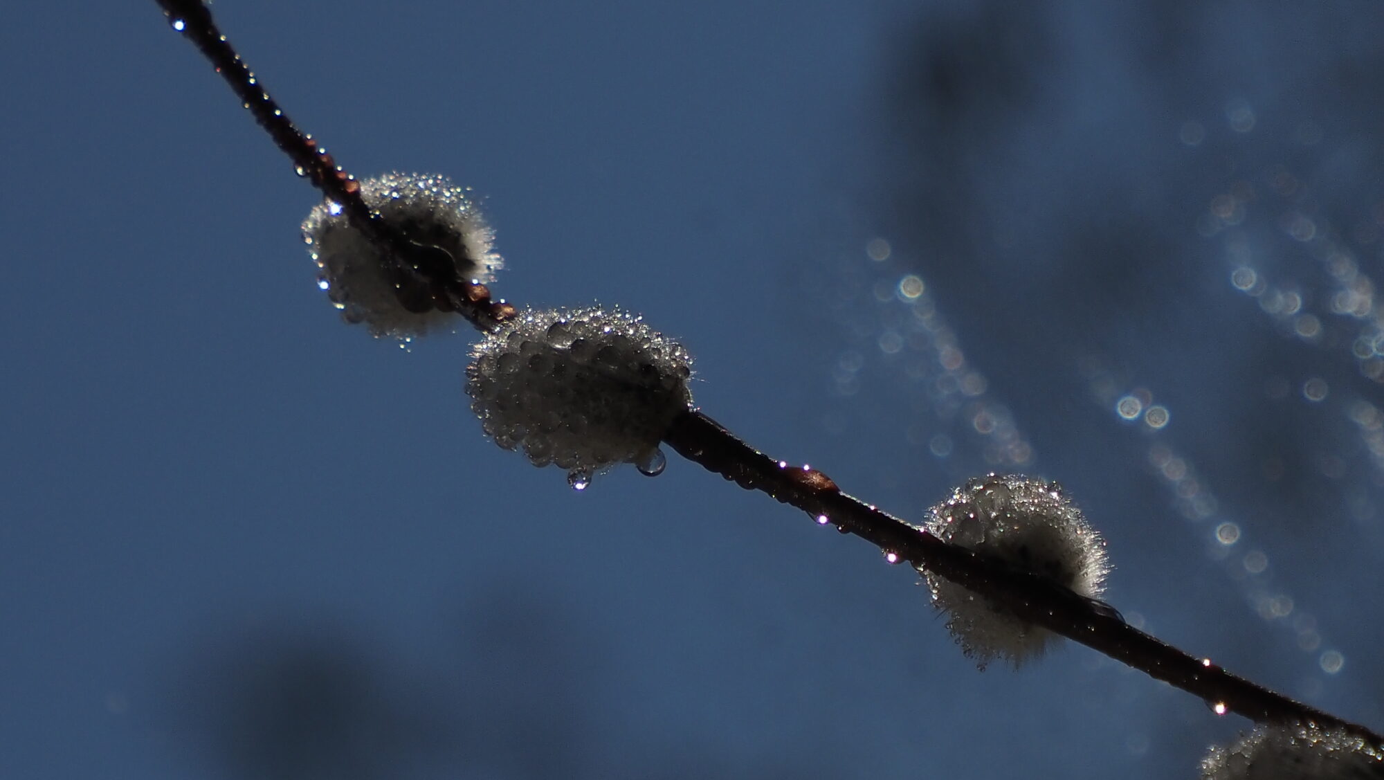 Valokuvaaja: Arja Valtonen Valokuvaaja: Arja Valtonen