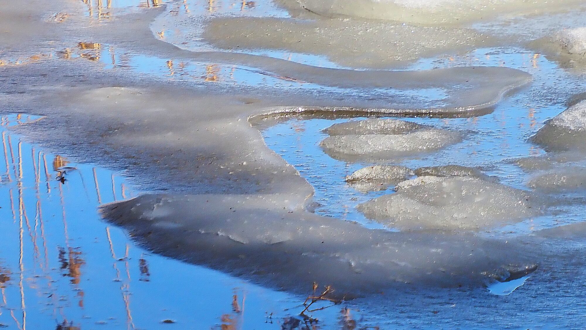 Valokuvaaja: Arja Valtonen