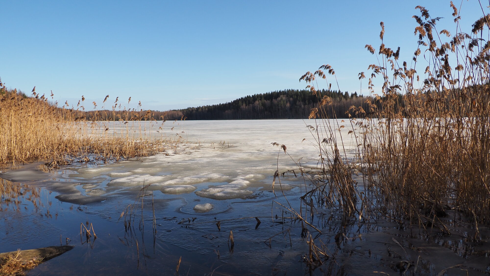 Valokuvaaja: Arja Valtonen Valokuvaaja: Arja Valtonen