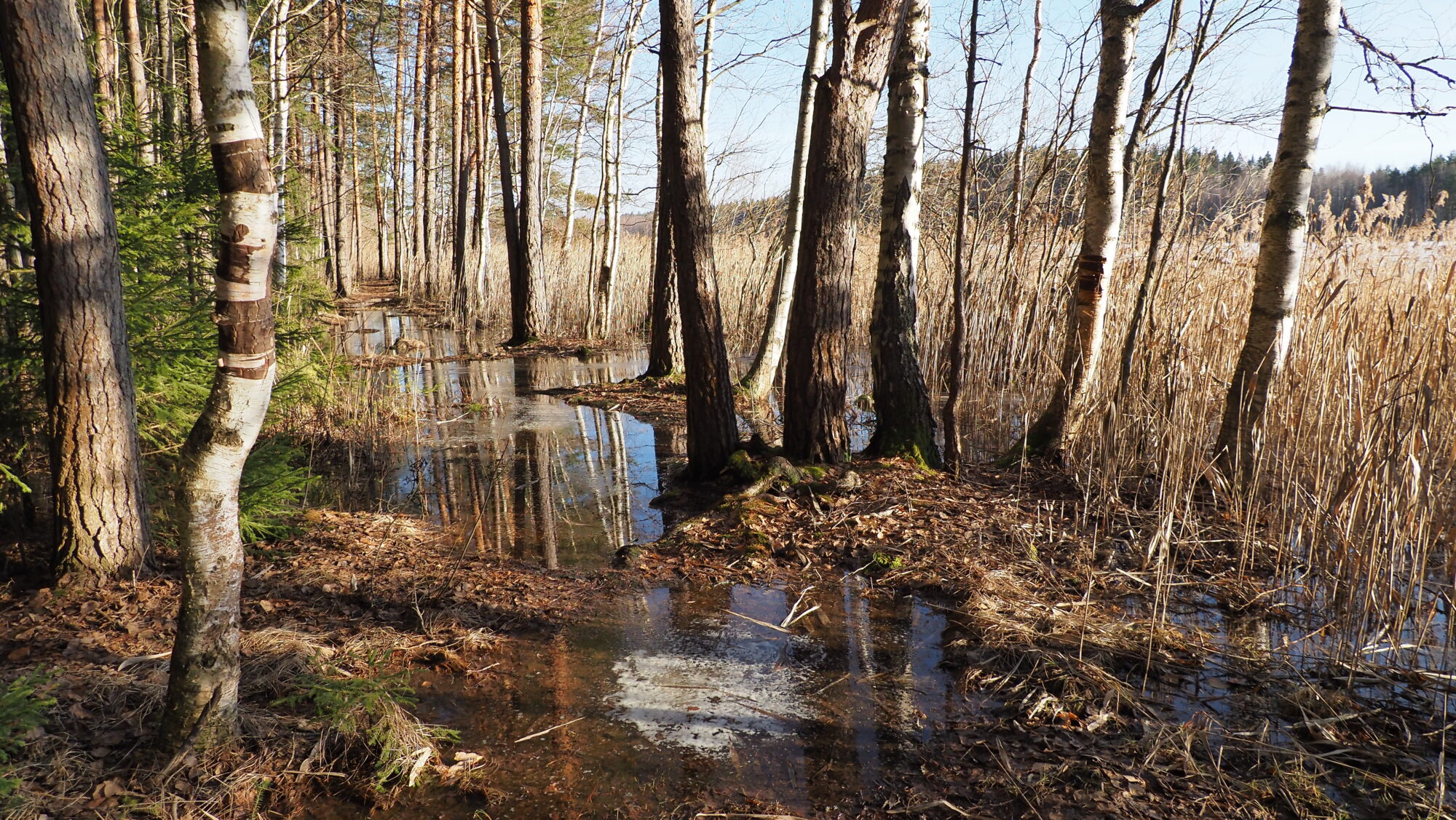 Valokuvaaja: Arja Valtonen