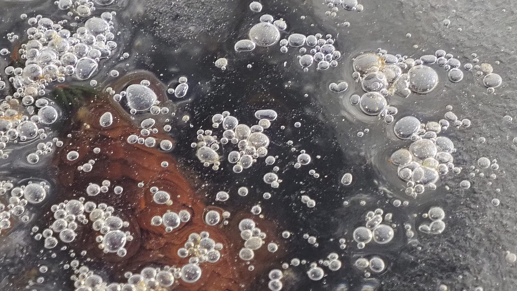 Valokuvaaja: Arja Valtonen