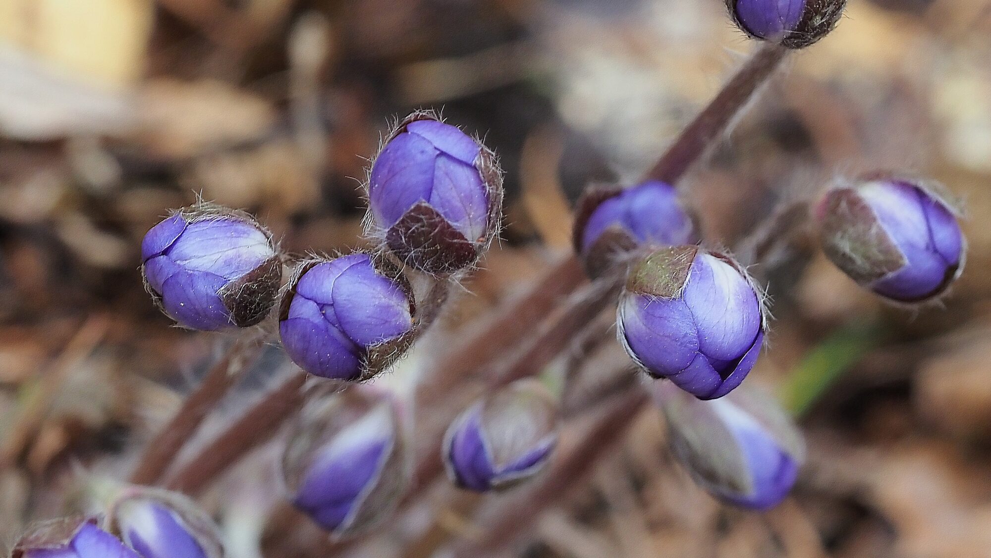 Valokuvaaja: Arja Valtonen