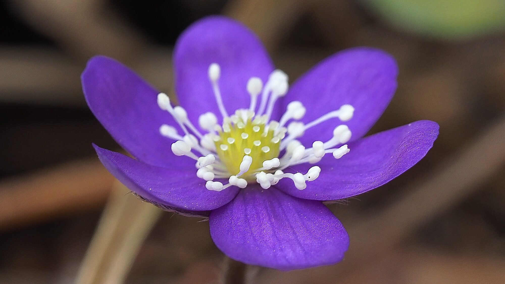 Valokuvaaja: Arja Valtonen