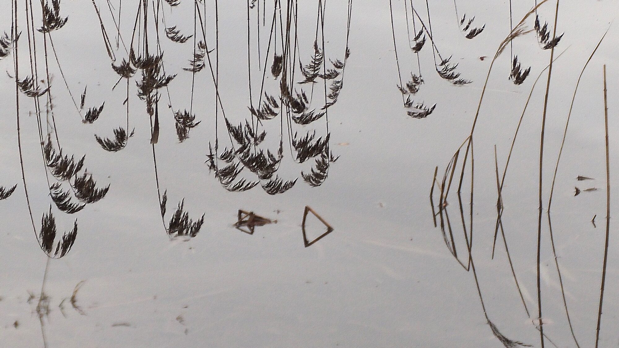 Valokuvaaja: Arja Valtonen Valokuvaaja: Arja Valtonen