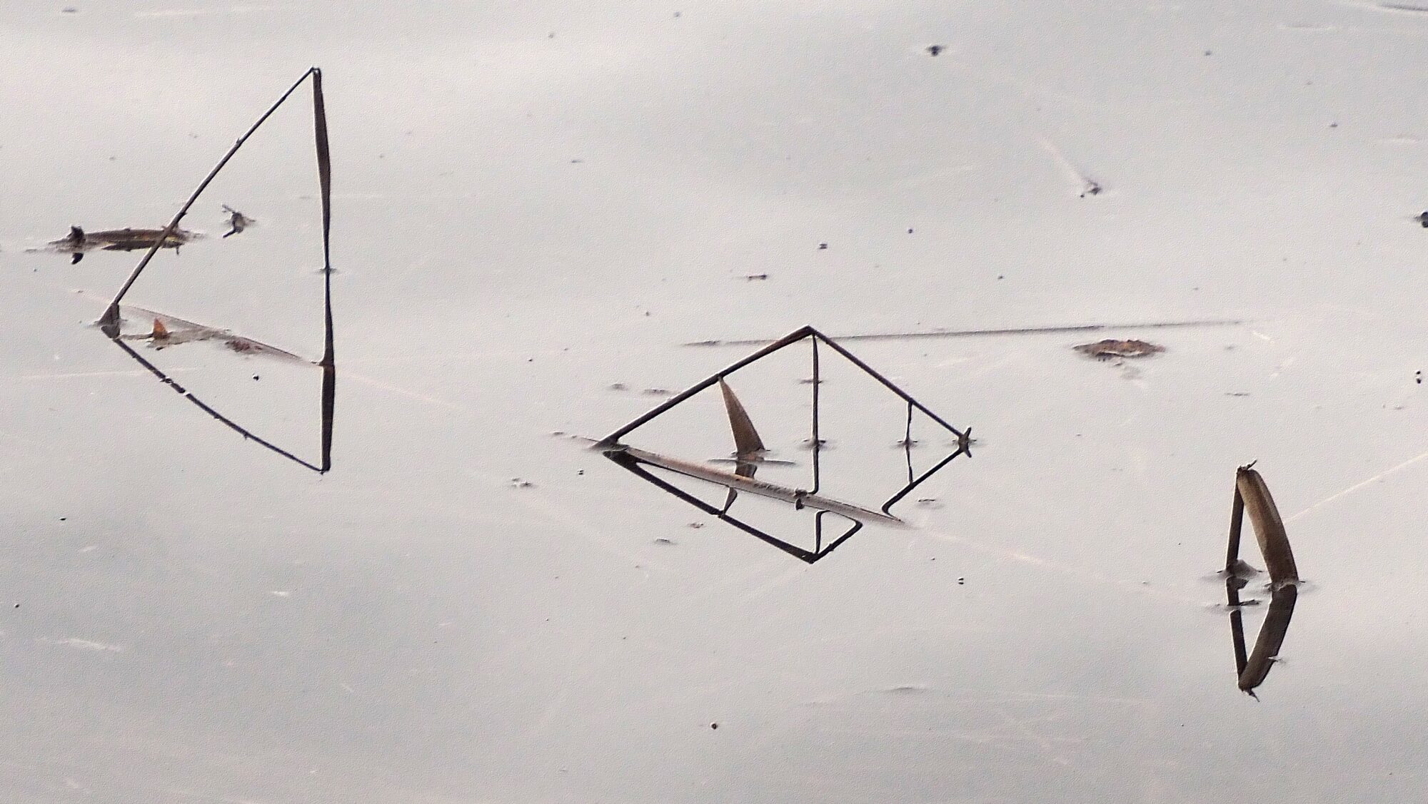 Valokuvaaja: Arja Valtonen